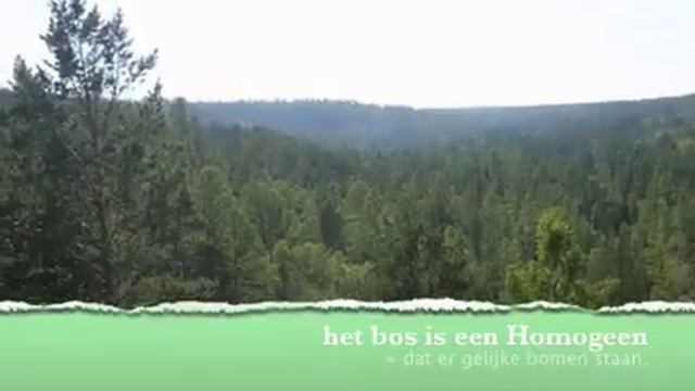 aardrijkskunde Fabian, Dennis en Roan смотреть онлайн