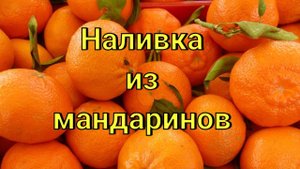 Наливка из мандаринов