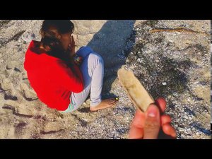 Медузы едят людей !