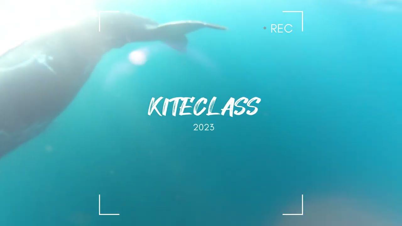Киты в Баренцевом море и кайтеры