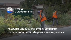 Коммунальщики «Зеленстроя» устраняют последствия стихии: убирают упавшие деревья. 18.09.2024