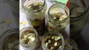 маринованные грибы.