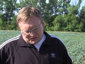 Крест, напоминающий о Сомовском монастыре