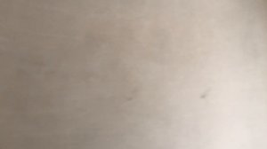 Качество штукатурных работ