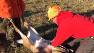 Buck 119 Knife Review! "pocket knife to have a deer"