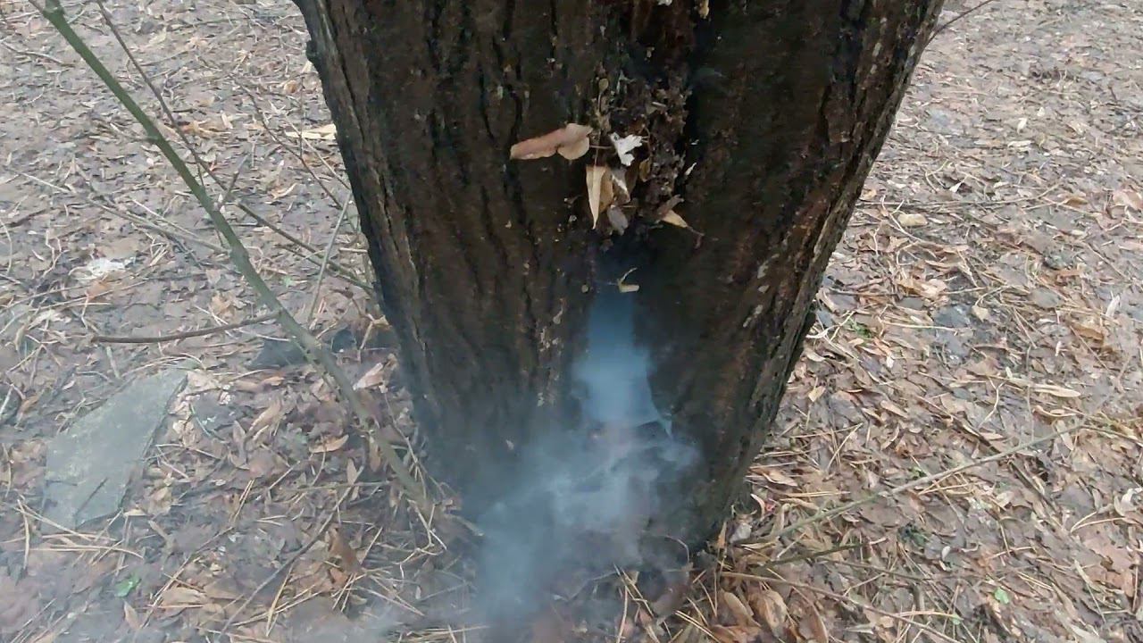 ВЗРЫВАЮ ПЕТАРДЫ С ПОДПИСЧИКОМ НА ЗАБРОШКЕ / ВЗРЫВАЕМ ДЕРЕВО / ВЗРЫВ ГАЛОШИ / ПЕТАРДЫ 2021 ГОДА