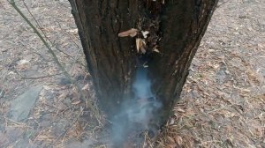 ВЗРЫВАЮ ПЕТАРДЫ С ПОДПИСЧИКОМ НА ЗАБРОШКЕ / ВЗРЫВАЕМ ДЕРЕВО / ВЗРЫВ ГАЛОШИ / ПЕТАРДЫ 2021 ГОДА