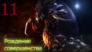 Starcraft Remastered. #11. Рождение совершенства.