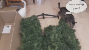 Как коты помогали ёлочку собирать😺🎄