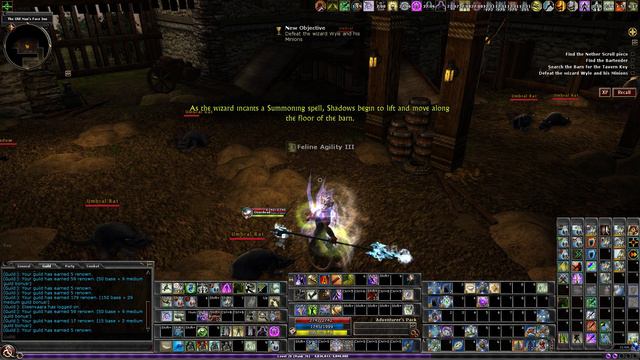 Dungeons & Dragons Online: R1 Solo - A Stay at the Inn