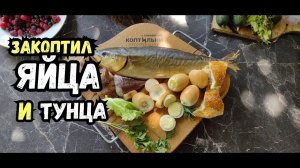 Сделал новую коптильню! Копченые ЯЙЦА! Тунец холодного копчения! Электростатическая коптильня!