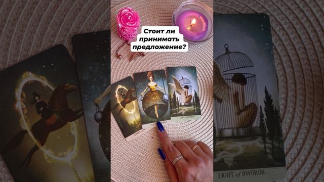 Принимать ли предложение? #тароотvicky #tarotfromvicky #советоткарт #гаданиенакартах #таро #картадня