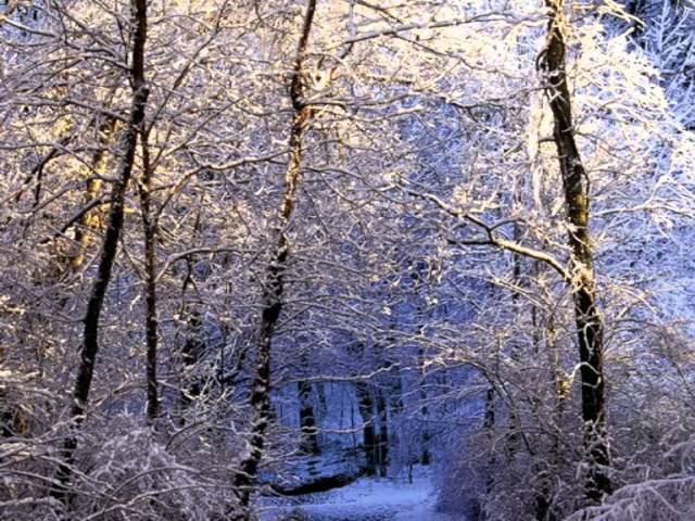 Дорога домой смотреть онлайн