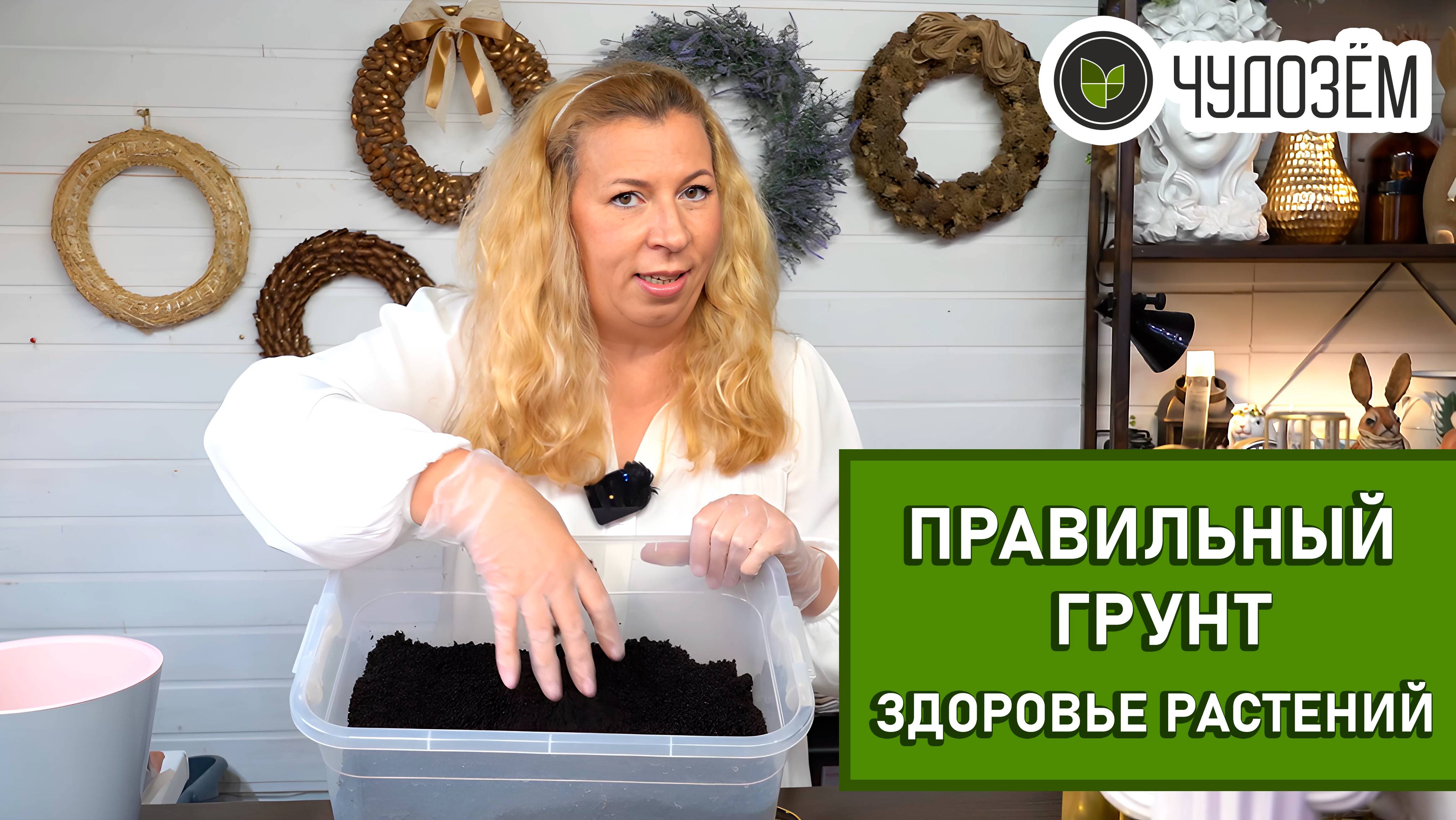 Идеальный грунт — это секрет здоровья ваших растений! Заложите основу для пробуждения их силы и крас