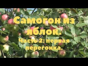 Часть 2 Самогон из яблок, первая перегонка