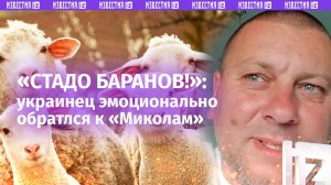 «Стадо баранов!»: украинец – об угасании мотивации к «перемоге»