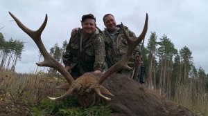 Охота на пятнистого оленя в Суздале 2019