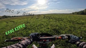 Лес возле дома KAYO K2PRO