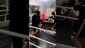 бокс в Пересвет Реутов
