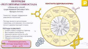 Продукция компании ДеТай | Алёна Маликова | 2024_09_07