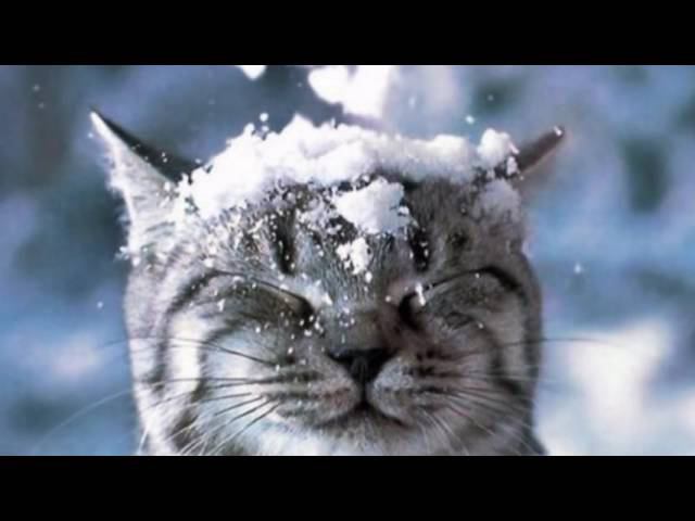 Падает снег смотреть онлайн