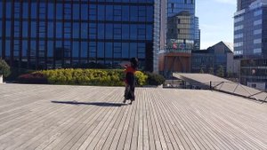 Красивое видео Тайцзицюань с мечом. Тайчи. Цигун. Стиль чень — Мария Цыганова
