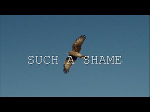 Sandra - Such A Shame (NG Remix)