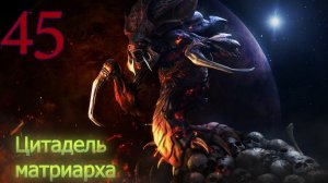 Starcraft Remastered. #45. Цитадель матриарха.