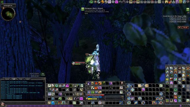 Dungeons & Dragons Online: R1 Solo - Detour