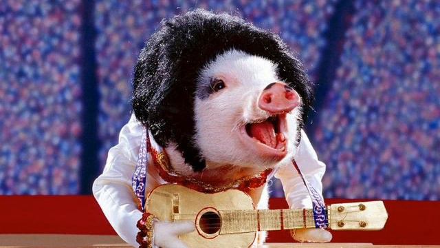 Reggaeton : Mezcla IrenikaDJ смотреть онлайн