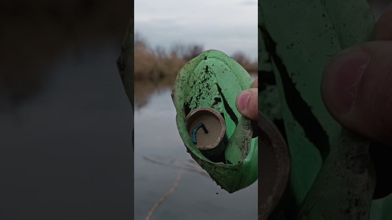 ВЗОРВАЛ МОЩНУЮ ПЕТАРДУ В ВОДЕ ALLIGATOR / ТЕСТ ПЕТАРД В ВОДЕ / #пиротехника #петарды #петарда #топ смотреть онлайн