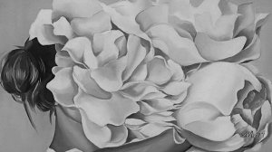 Chris Isaak ~ Black Flowers