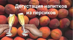 Дегустация  напитков из персиков )))