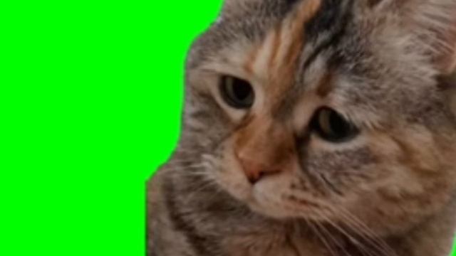 mem