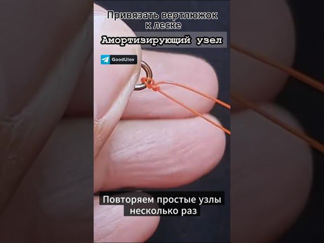 Привязать вертлюжок к леске - Амортизирующий узел #fishing #рыбалка #снастидлярыбалки