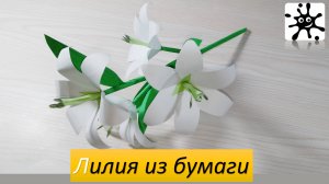 Лилия из бумаги. Лилия своими руками