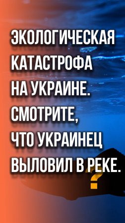 На Украине выловили необычную рыбу. Подробности - на видео