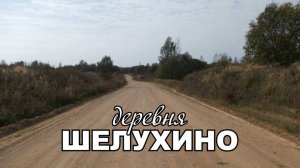 Деревня Шелухино