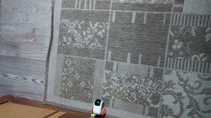 мурзик 02.092024.mp4