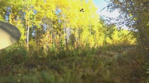 Охота и рыбалка в ХМАО - ЯНАО | Открытие осенней охоты на боровую 2024