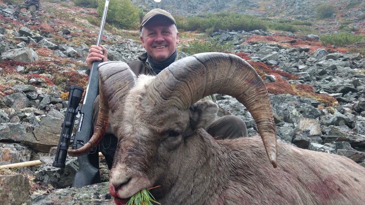 Schneebockjagd In Kamtschatka 2019 - Охота на Снежного барана на Камчатке 2019