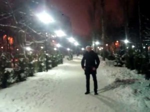 Новый год 2019 ч8