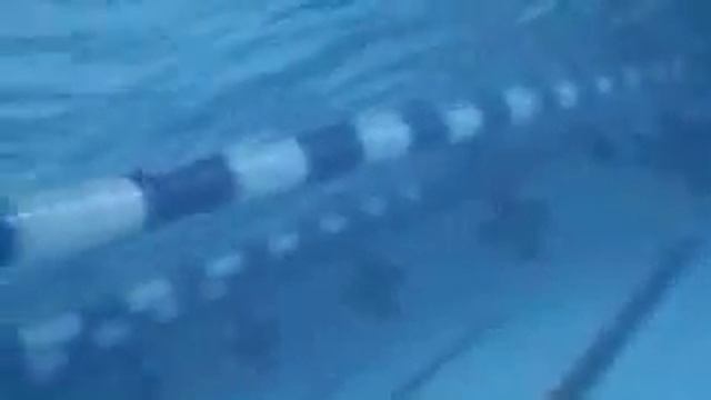 Me Swimming! смотреть онлайн