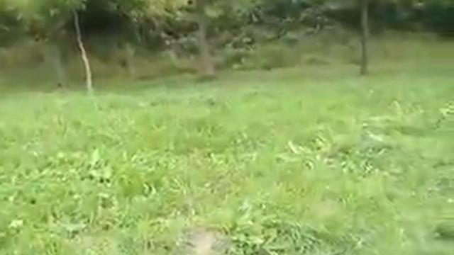 vlasšky expess puchov zavody smer praha 2O20 puchov zavody dil 2 смотреть онлайн