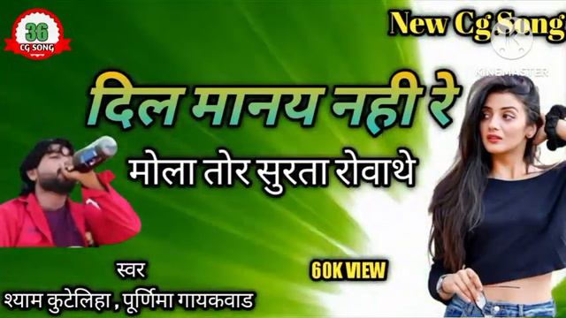 Dil manay nahi re (दिल मानय नहीं रे) । shyam kuteliha। purnima gayakwad । arvind kurre । cg song