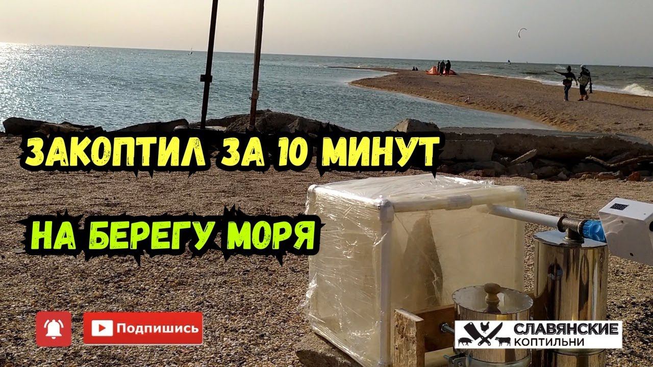 Взял эту КОПТИЛЬНЮ с собой на море. Электростатическое копчение.