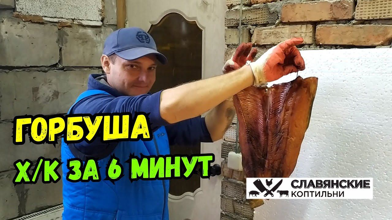 Очень ВКУСНАЯ Горбуша Холодного Копчения в Электростатической коптильне!