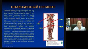 УЗД Патологии терминального отдела Аорты О.Л. Ерошенко