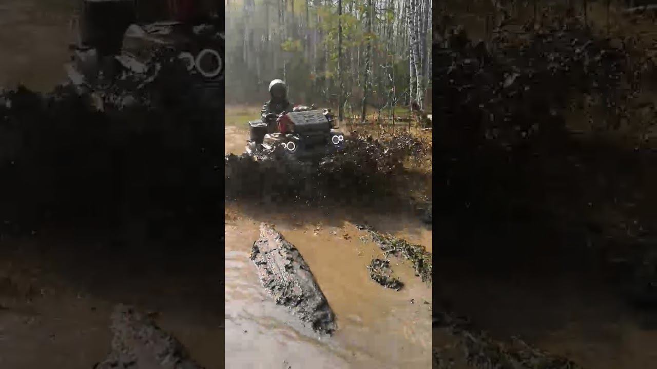 Покатушки на квадроциклах в лесу