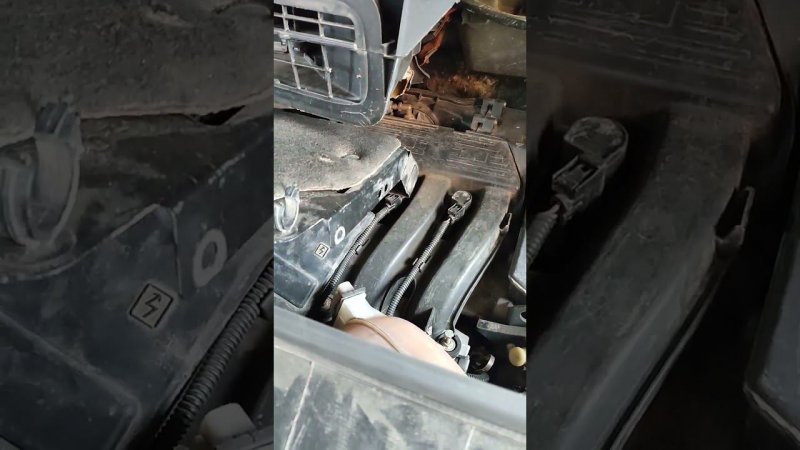 еще одна победа #рено #трафик #техпомощь #автоэлектрик